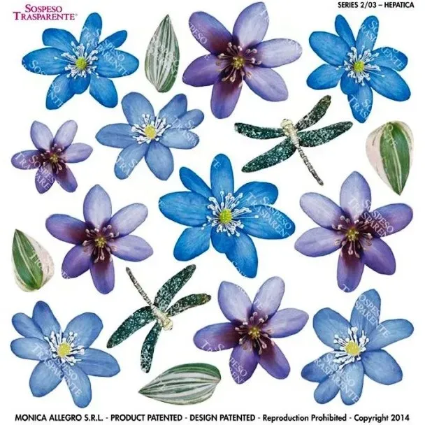 Deco Foam Hepatica foglio sospeso stampato