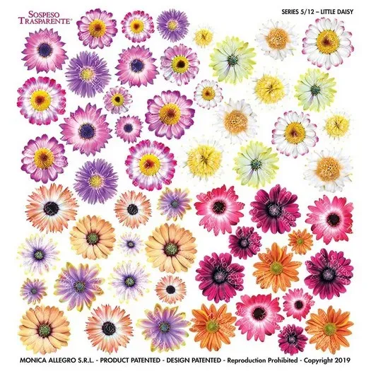 Deco Foam Sospeso Little Daisy foglio stampato margherita
