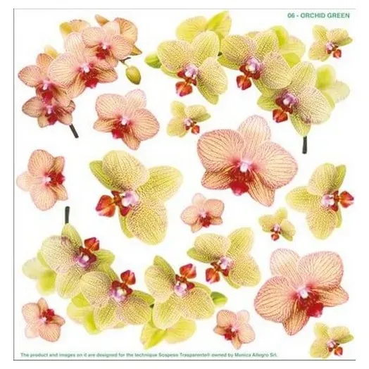 Sospeso Green Orchid foglio stampato orchidea verde