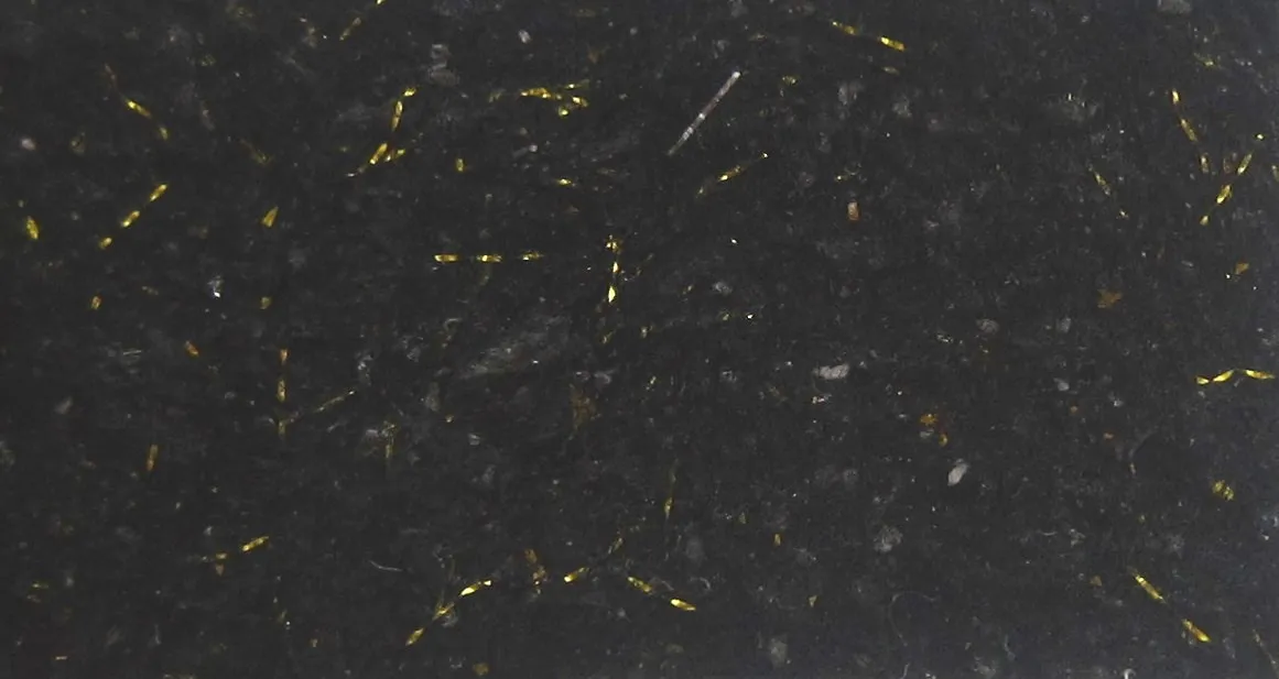 Decofoam 1008 pasta 3D nero oro 70 g coprente