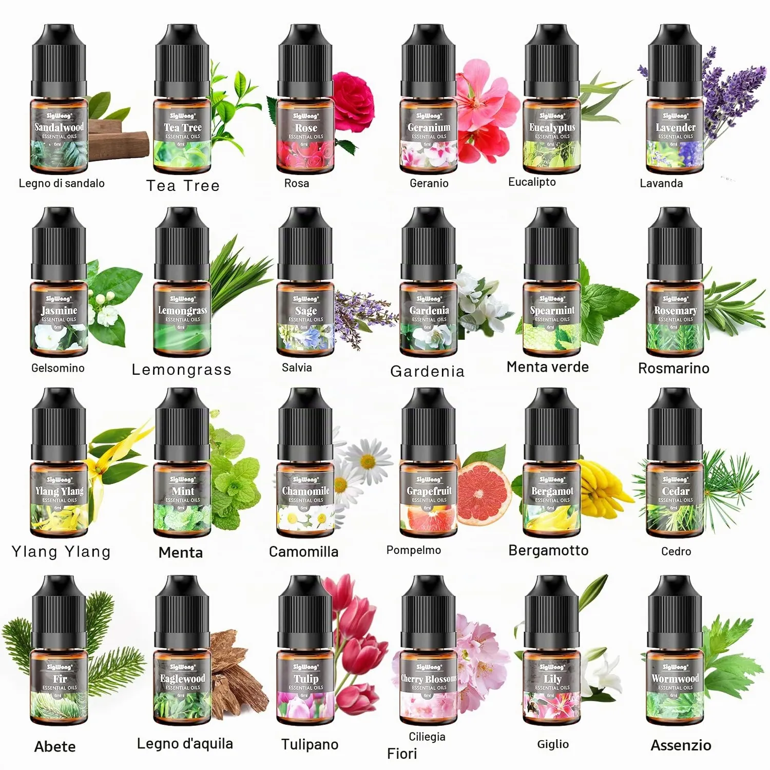 Sigwong oli essenziali 24x6 ml concentrati