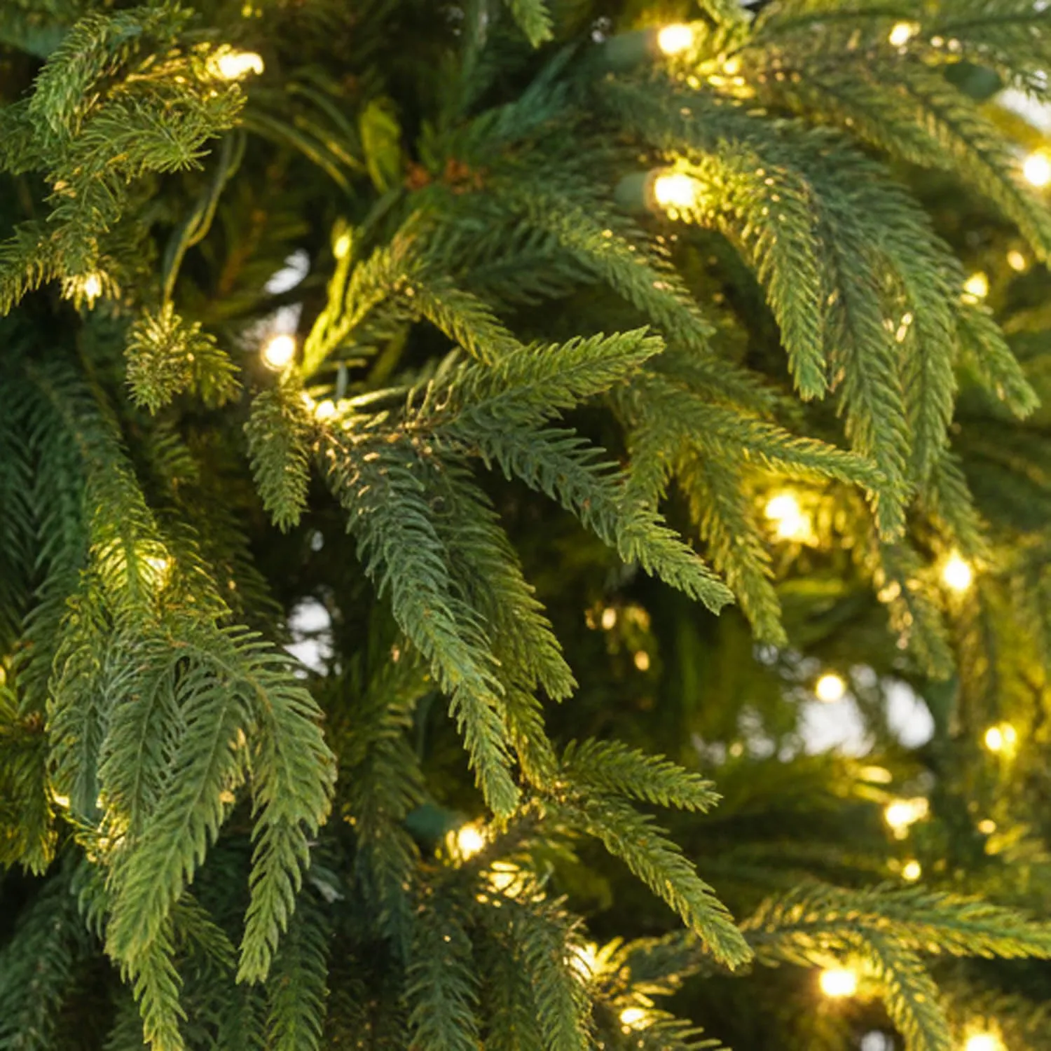 GIODICART Heritage albero Natale luminoso 210 cm LED