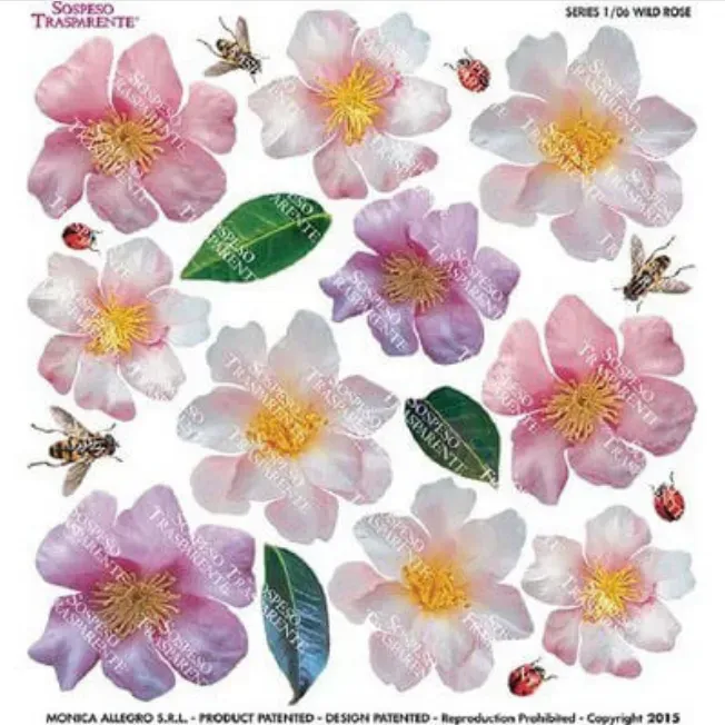 Deco Foam Sospeso Wild Roses foglio gelatina rose selvatiche