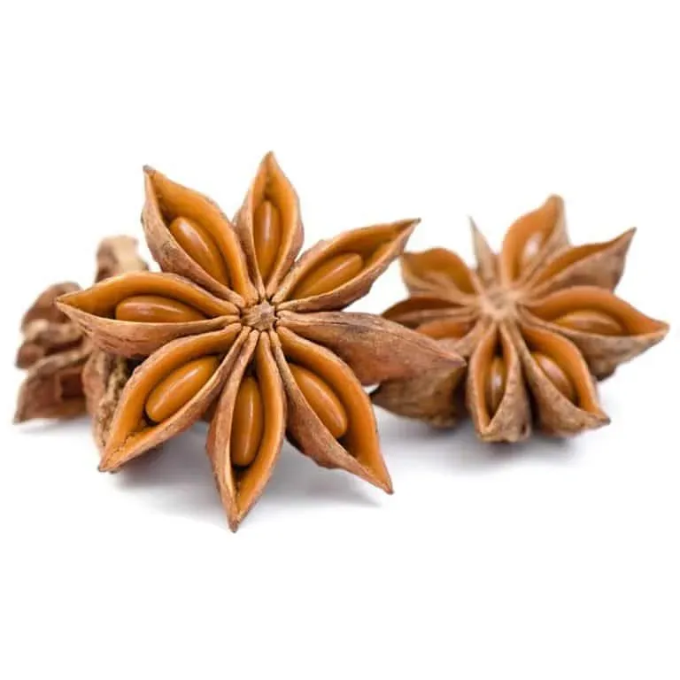 Naturesin Anice Stellato per Saponi 50 gr intero