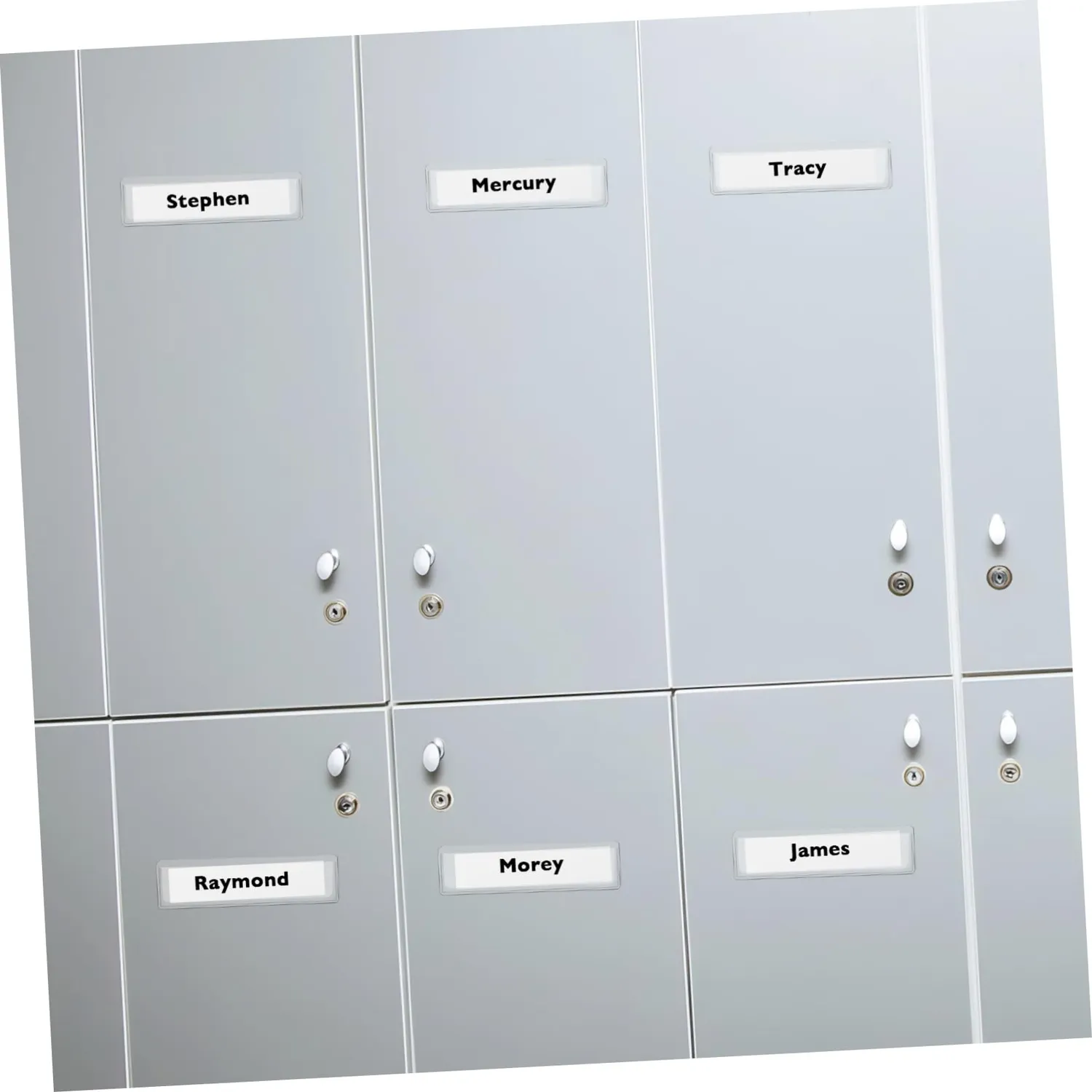 Angoily Porta Etichette PVC Trasparenti 60 Pezzi 11x3 cm