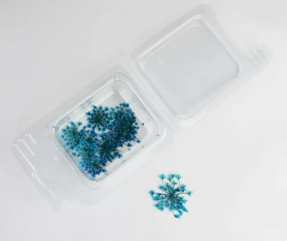Naturesin Fiorellini Secchi Blu Decorativi 12 Pezzi