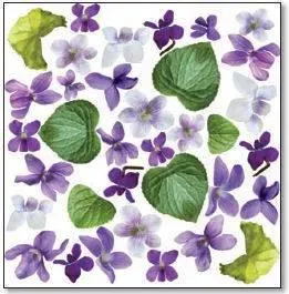 Deco Foam Violette foglio stampato per sospeso trasparente