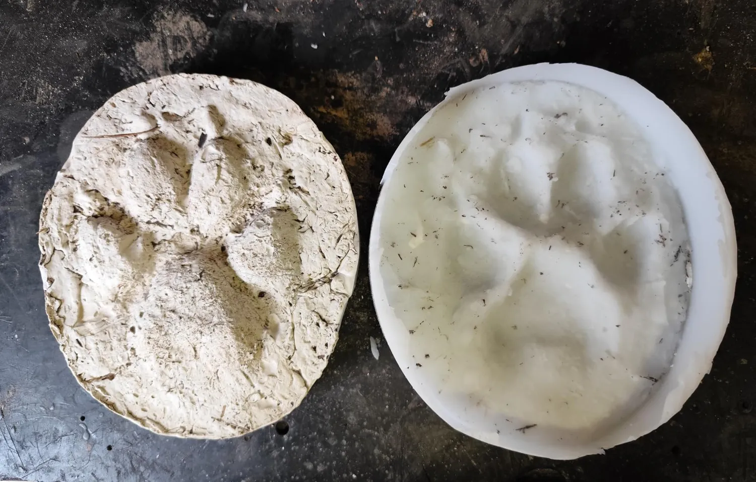 Reschimica R15 Gomma Siliconica Bicomponente Stampi 3 Kg