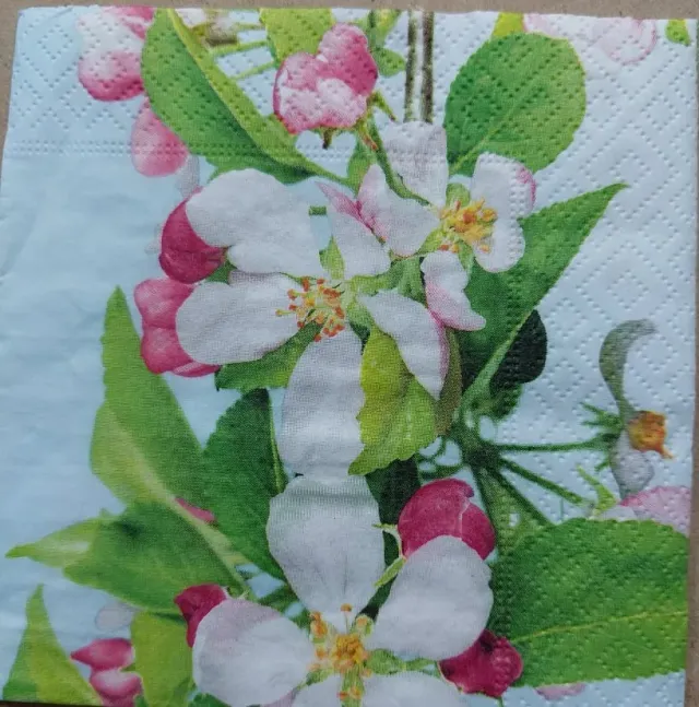Deco Foam 823 Tovagliolo Decoupage 24x24 cm Carta
