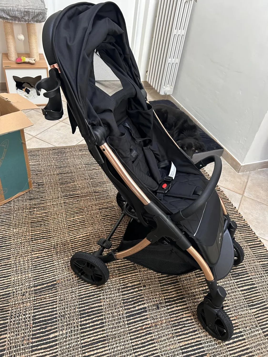 Giodicart G-Moove Passeggino 0-22kg Rose Gold Nero