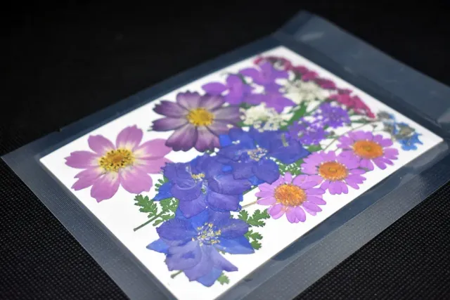 Naturesin Fiori Secchi Viola Pressati 9 Tipi Gioielli