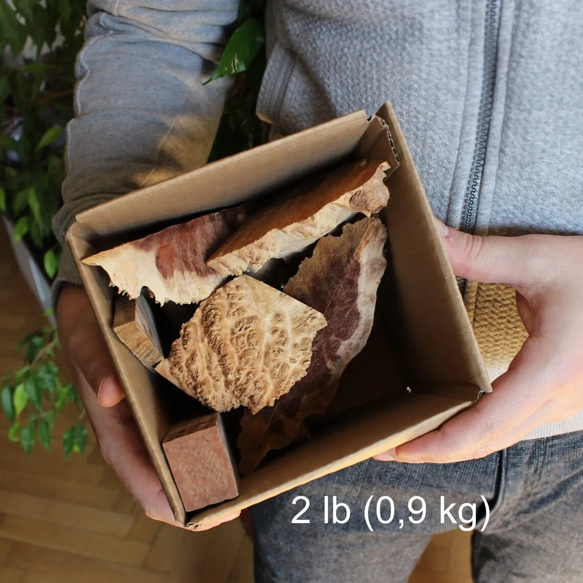 Naturesin Sezioni Eucalipto Australiano legno scatola 0,9 kg rustico
