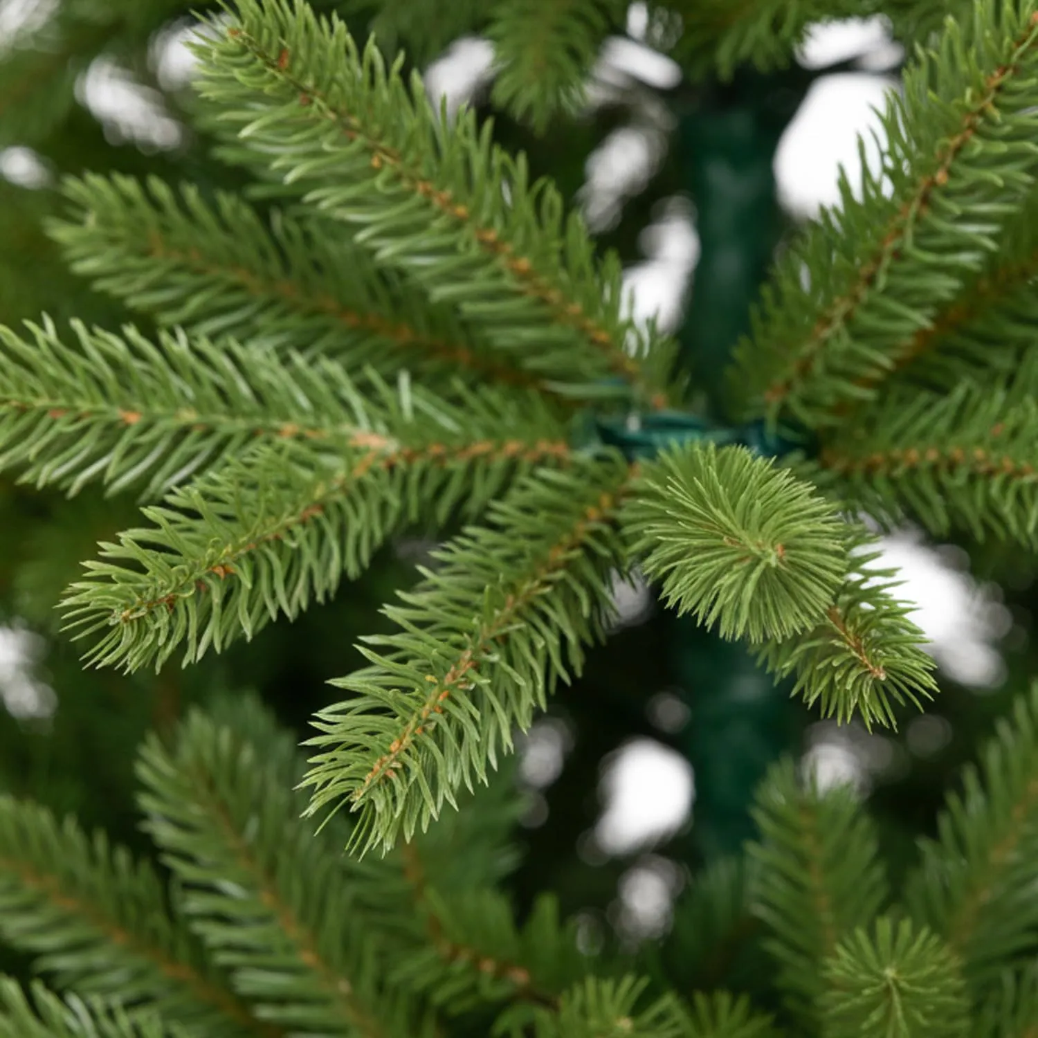 GIODICART Whisper albero di Natale PE 180 cm realistico