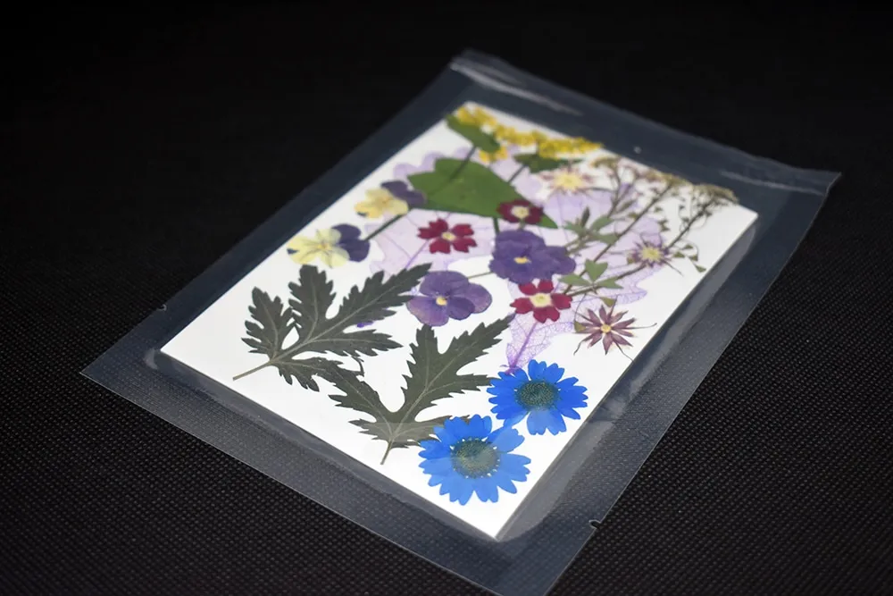 Naturesin fiori secchi multicolor pressati 9 tipi per gioielli