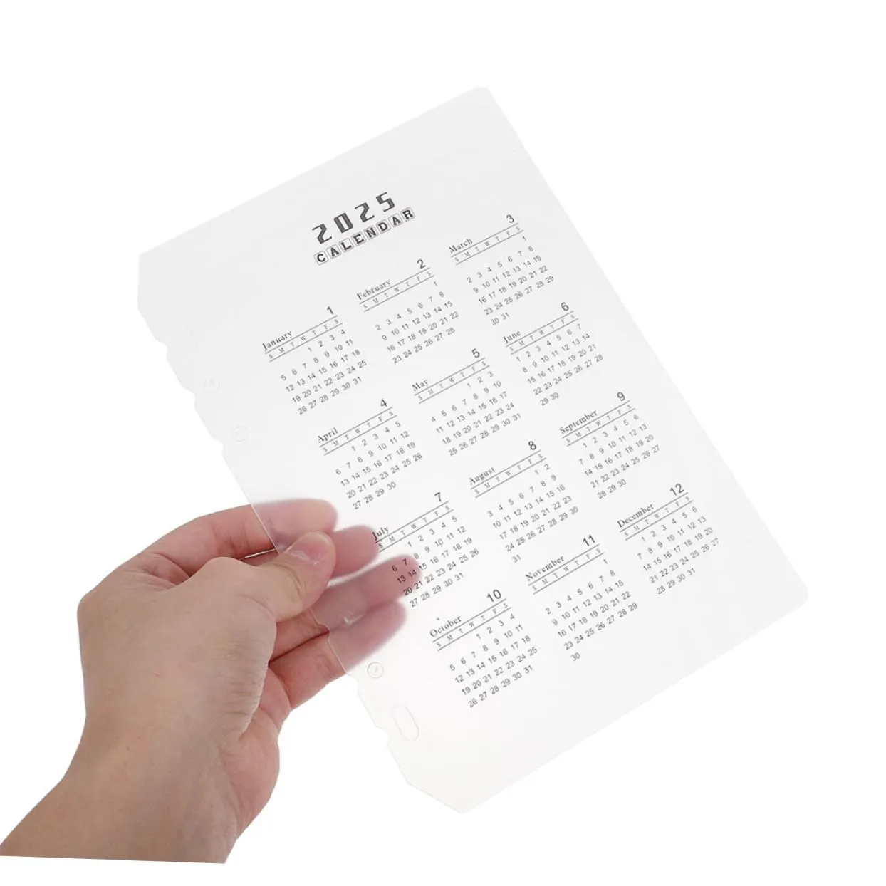 Angoily divisori calendario PP trasparenti 12 pezzi