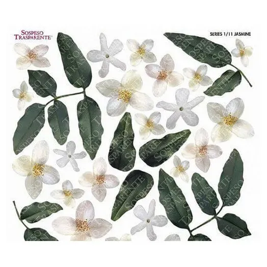 Deco Foam Sospeso Jasmine foglio stampato gelsomino