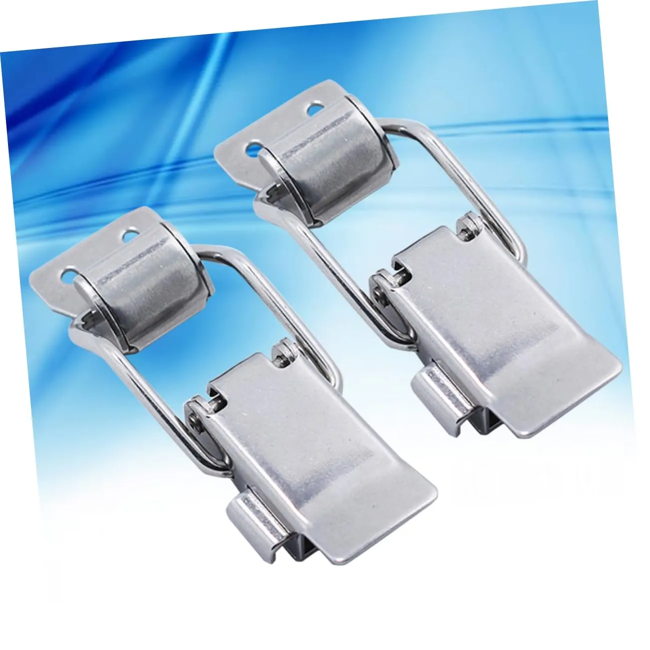 Angoily Morsetto Leva Acciaio Inox Regolabile 2 Pezzi