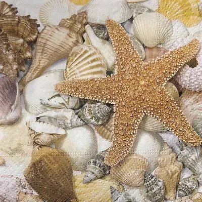 Deco Foam 946 tovagliolo decoupage 25x25 cm