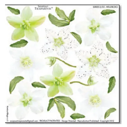 Deco Foam Sospeso Helleboro foglio stampato 3D