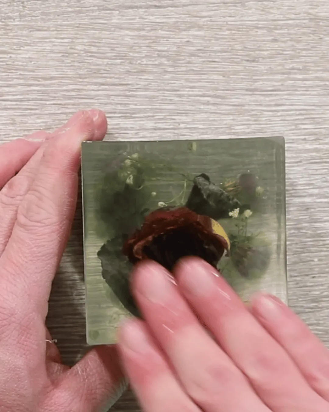 Naturesin Come Creare Inglobamenti video corso resina 2 ore