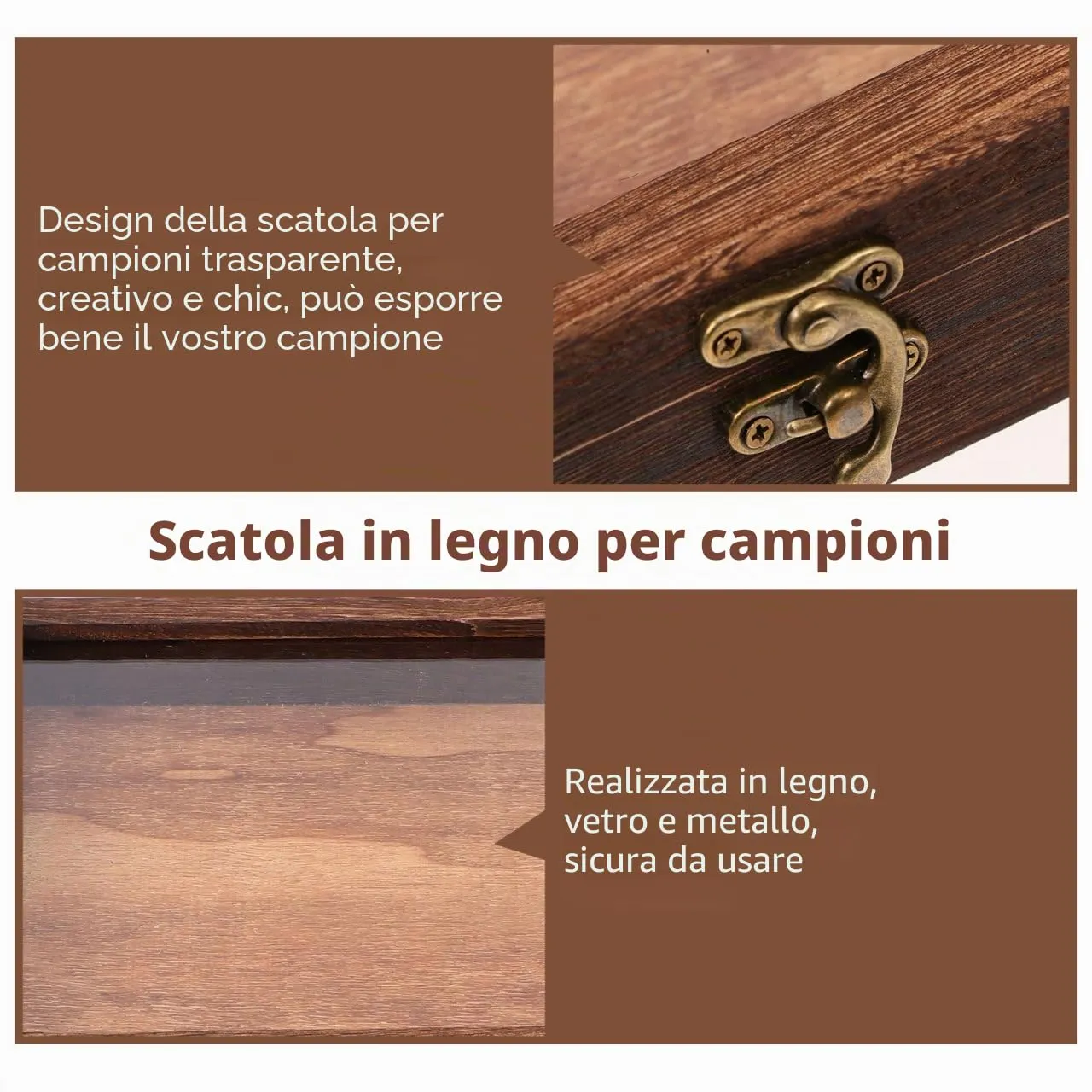 Angoily vetrina scatola collezione legno 31x22 cm coperchio vetro