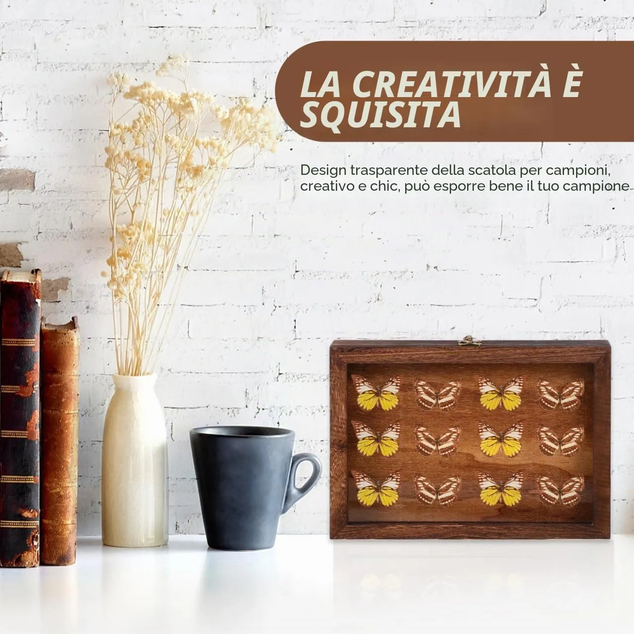 Angoily vetrina scatola collezione legno 31x22 cm coperchio vetro