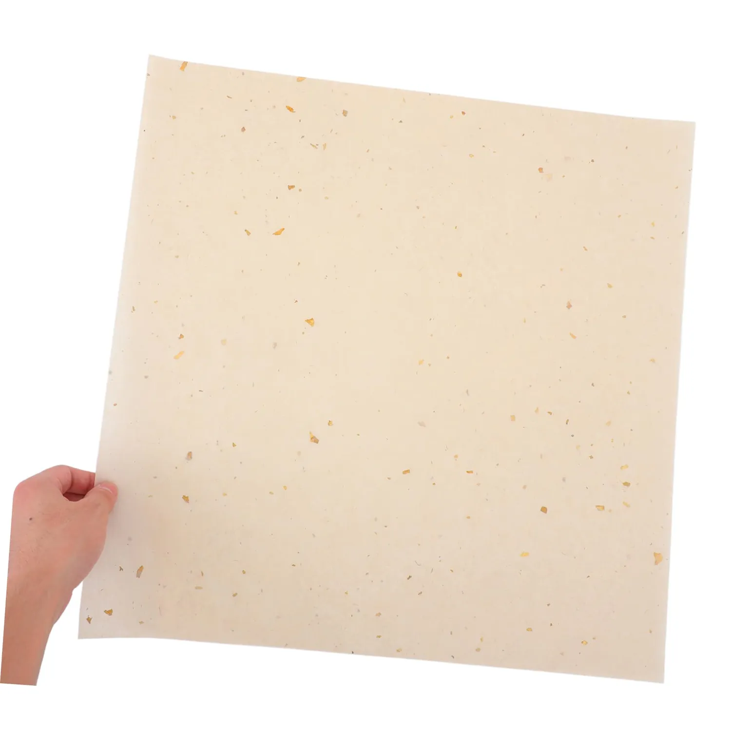 Angoily Carta per Lanterne 10 Fogli 45x45 cm Cachi
