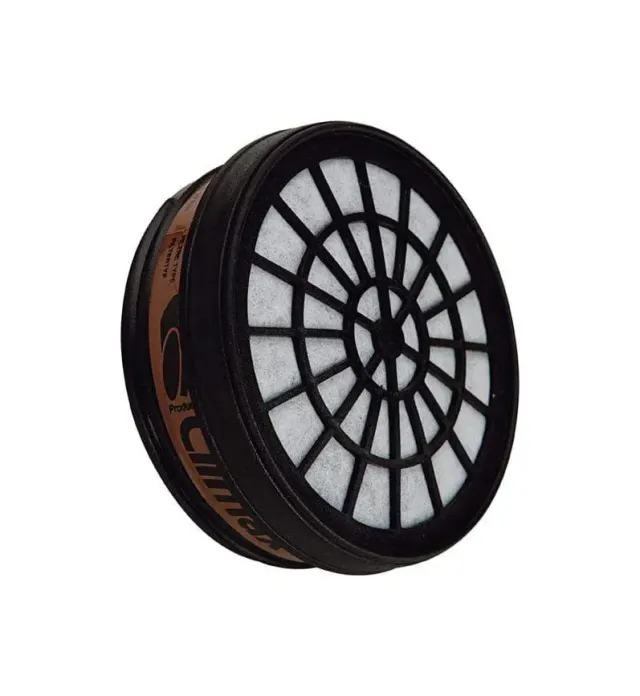 Climax Filtri ABEK Maschera 755/756 2 pezzi gas e vapori