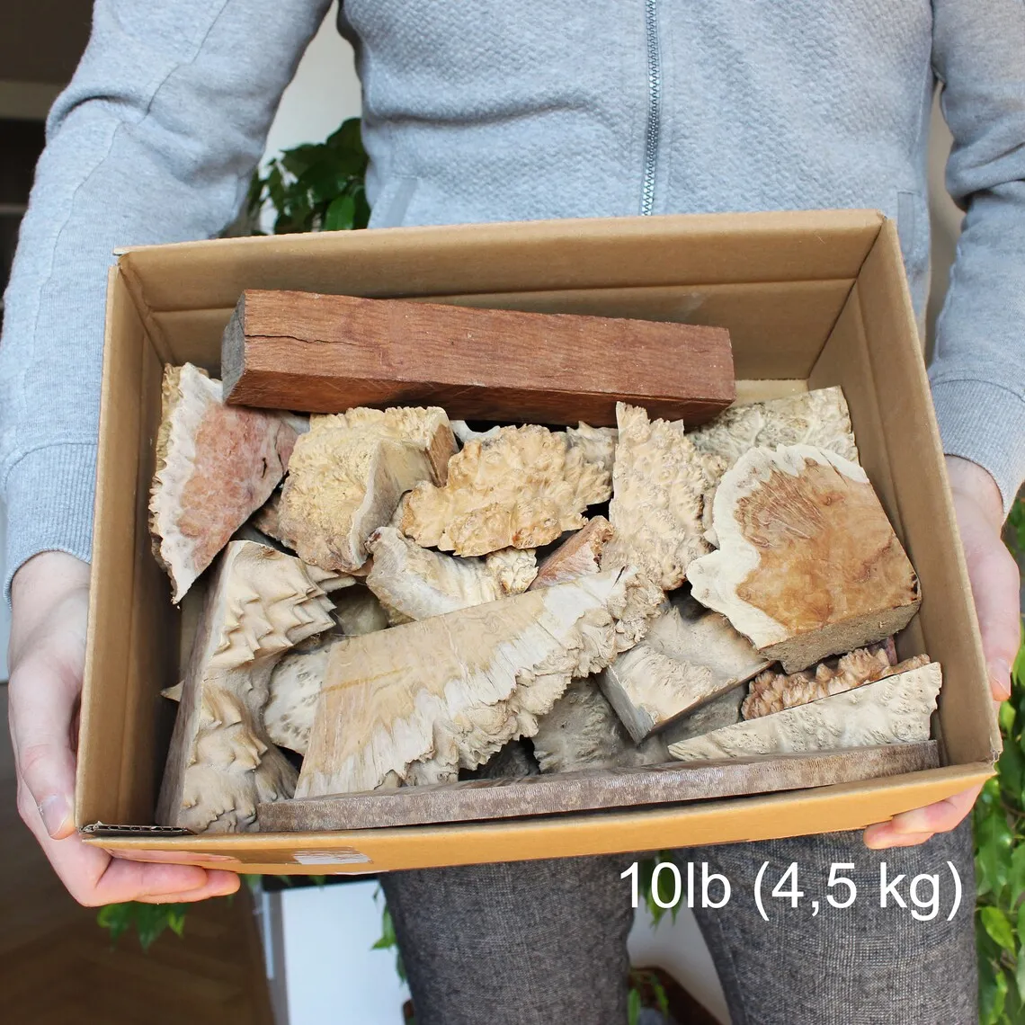 Naturesin Sezioni Eucalipto Australiano legno scatola 0,9 kg rustico