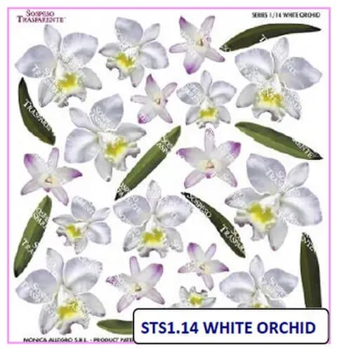 Deco Foam Sospeso foglio stampato White Orchid orchidea bianca