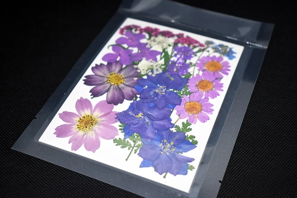 Naturesin Fiori Secchi Viola Pressati 9 Tipi Gioielli