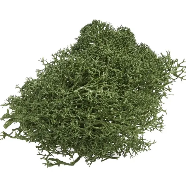 Deco Foam 3865356 muschio decorativo 20 g verde scuro