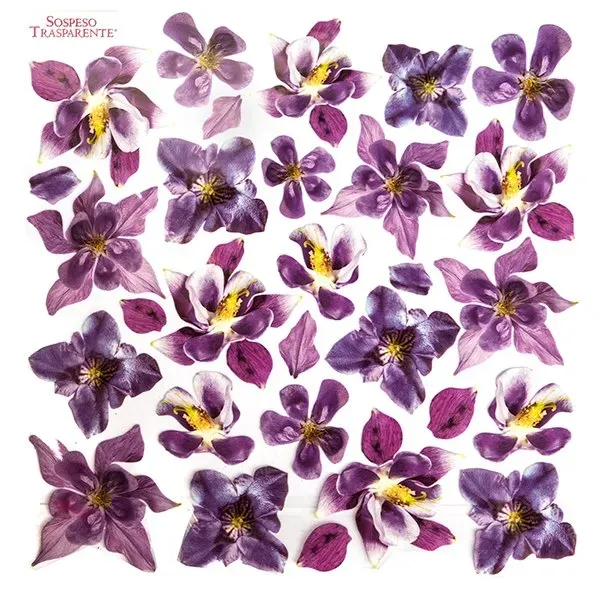 Deco Foam Sospeso Gentian foglio stampato genziana 3D