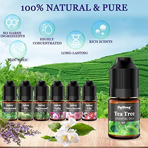 Sigwong oli essenziali 24x6 ml concentrati