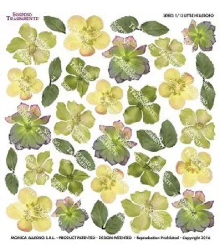Deco Foam Little Helleboro foglio gelatina sospeso