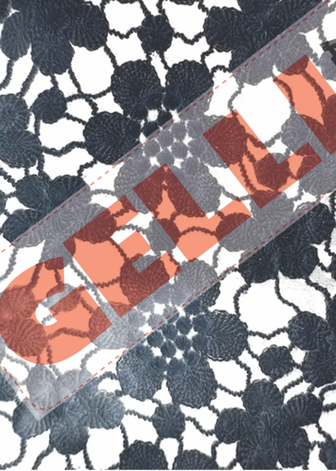 Gelli Arts Lace Impressions carte transfer 13x18 20 fogli