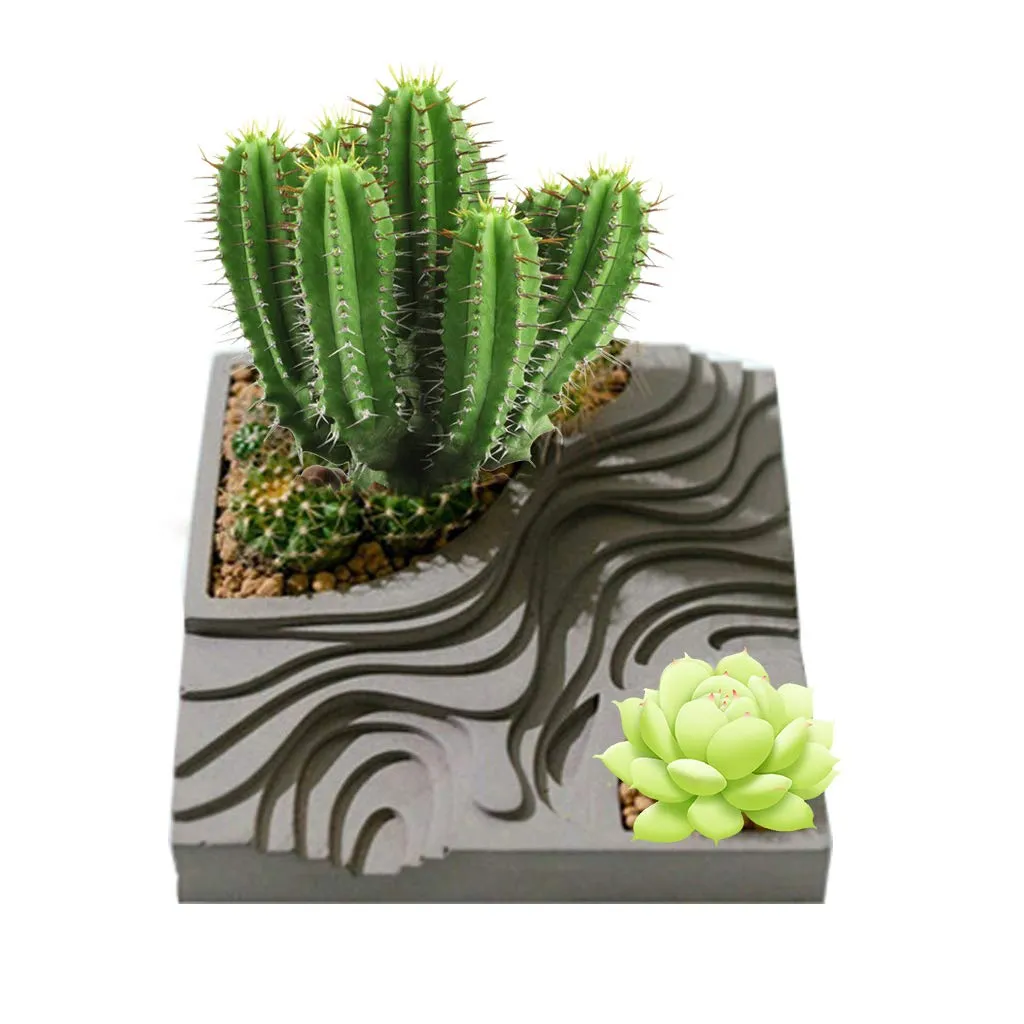 Naturesin Stampo silicone cofanetto portagioie 15 cm